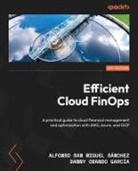 Danny Obando García, Alfonso San Miguel Sánchez - Efficient Cloud FinOps
