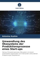 Antonina Kuzhim, Antonina Kyzhym - Umwandlung des Ökosystems der Produktionsprozesse eines Start-ups