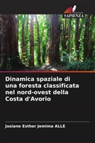 Josiane Esther Jemima Alle - Dinamica spaziale di una foresta classificata nel nord-ovest della Costa d'Avorio
