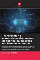 Antonina Kuzhim, Antonina Kuzhym, Antonina Kyzhym - Transformar o ecossistema do processo de fabrico da empresa em fase de arranque