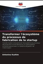 Antonina Kuzhim, Antonina Kuzhym, Antonina Kyzhym - Transformer l'écosystème du processus de fabrication de la startup