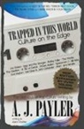 A. J. Payler, Aaron Poehler - Trapped in This World