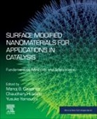 Manoj B. (Associate Professor Gawande, Manoj B. Gawande, Chaudhery Mustansar Hussain, Chaudhery (Adjunct Professor and Director of laboratories Mustansar Hussain, Chaudhery (Adjunct Professor and Lab Director Mustansar Hussain, Chaudhery (New Jersey Institute of Technology Mustansar Hussain... - Surface Modified Nanomaterials for Applications in Catalysis