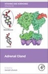Adrenal Gland: Volume 124