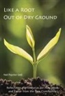 Neil Paynter - Like a Root Out of Dry Ground