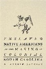D Andrew Johnson, D. Andrew Johnson - Enslaved Native Americans and the Making of Colonial South Carolina