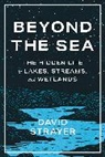 David Strayer - Beyond the Sea