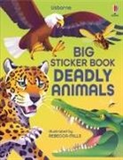 Alice James, James Alice, Rebecca Mills, Rebecca (Illustrator) Mills - Big Sticker Book of Deadly Animals