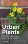 Alexandra-Maria Klein, Julia Krohmer - A Field Guide to Urban Plants