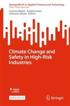Corinne Bieder, TU Dortmund University, Gudela Grote, Johannes Weyer - Climate Change and Safety in High-Risk Industries