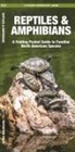 James Kavanagh, Waterford Press, Raymond Leung - Reptiles & Amphibians