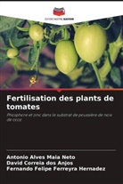 Antonio Alves Maia Neto, David Correia Dos Anjos, Fernando Felipe Ferreyra Hernadez - Fertilisation des plants de tomates