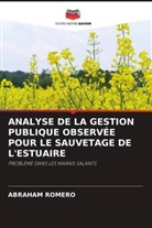 Abraham Romero - ANALYSE DE LA GESTION PUBLIQUE OBSERVÉE POUR LE SAUVETAGE DE L'ESTUAIRE