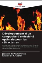 Ricardo de F. Cabral, Joaquim de Paula Pereira - Développement d'un composite d'émissivité optimale pour les réfractaires