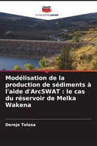 Dereje Tolosa - Modélisation de la production de sédiments à l'aide d'ArcSWAT : le cas du réservoir de Melka Wakena