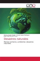 Patricio Aragón Aragón, Omelio Cepero Rodriguez, Jorge Orlay Serrano Torres - Desastres naturales