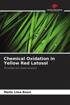 Maitê Lima Bossi - Chemical Oxidation in Yellow Red Latosol