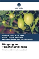 Antonio Alves Maia Neto, David Correia Dos Anjos, Fernando Felipe Ferreyra Hernadez - Düngung von Tomatensetzlingen