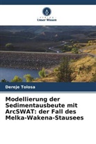 Dereje Tolosa - Modellierung der Sedimentausbeute mit ArcSWAT: der Fall des Melka-Wakena-Stausees