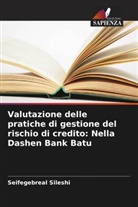 Seifegebreal Sileshi - Valutazione delle pratiche di gestione del rischio di credito: Nella Dashen Bank Batu