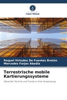 Raquel Virtudes De Fuentes Bretón, Farjas Abadía, Mercedes Farjas Abadía - Terrestrische mobile Kartierungssysteme