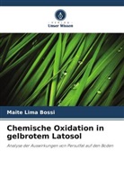 Maitê Lima Bossi - Chemische Oxidation in gelbrotem Latosol