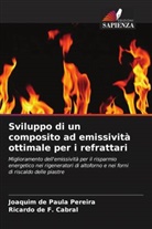 Ricardo de F. Cabral, Joaquim de Paula Pereira - Sviluppo di un composito ad emissività ottimale per i refrattari