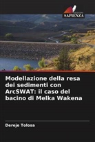 Dereje Tolosa - Modellazione della resa dei sedimenti con ArcSWAT: il caso del bacino di Melka Wakena