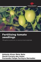 Antonio Alves Maia Neto, David Correia Dos Anjos, Fernando Felipe Ferreyra Hernadez - Fertilising tomato seedlings