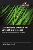 Maitê Lima Bossi - Ossidazione chimica nel Latosol giallo-rosso