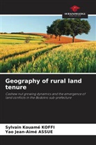 Yao Jean-Aimé Assue, Sylvain Kouamé Koffi - Geography of rural land tenure