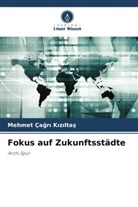 Mehmet Ça¿r¿ K¿z¿lta¿, Mehmet Çagri Kiziltas - Fokus auf Zukunftsstädte