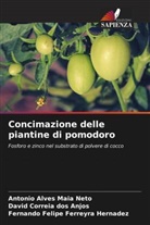 Antonio Alves Maia Neto, David Correia Dos Anjos, Fernando Felipe Ferreyra Hernadez - Concimazione delle piantine di pomodoro