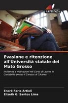 Enorê Faria Artioli, Elizeth G. Santos Lima - Evasione e ritenzione all'Università statale del Mato Grosso