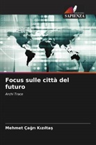 Mehmet Ça¿r¿ K¿z¿lta¿, Mehmet Çagri Kiziltas - Focus sulle città del futuro