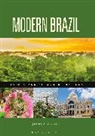 Javier A Galvan, Javier A. Galván - Modern Brazil