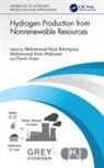 Mohammad Reza Makarem Rahimpour, Parvin Kiani, Mohammad Amin Makarem, Mohammad Reza Rahimpour - Hydrogen Production From Nonrenewable Resources