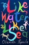 Olumide Popoola, Popoola Olumide - Like Water Like Sea