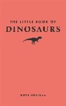 Rhys Charles - Little Book of Dinosaurs