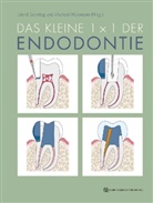 Michael Hülsmann, David Sonntag, Hülsmann, Michael Hülsmann, David Sonntag - Das kleine 1x1 der Endodontie