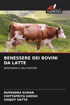 Sanjoy Datta, Chittapriya Ghosh, Rupendra Kumar - BENESSERE DEI BOVINI DA LATTE