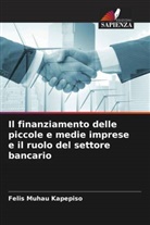 Felis Muhau Kapepiso - Il finanziamento delle piccole e medie imprese e il ruolo del settore bancario