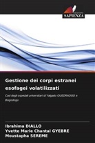 Ibrahima Diallo, Yvette Marie Chantal Gyebre, Moustapha Sereme - Gestione dei corpi estranei esofagei volatilizzati
