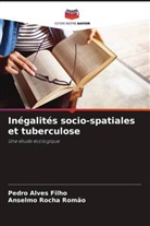 Pedro Alves Filho, Anselmo Rocha Romão - Inégalités socio-spatiales et tuberculose