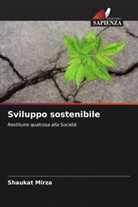 Shaukat Mirza - Sviluppo sostenibile