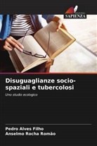 Pedro Alves Filho, Anselmo Rocha Romão - Disuguaglianze socio-spaziali e tubercolosi