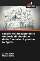 Monuir Labib, Zeinab Safar - Studio dell'impatto delle fonderie di piombo e delle fonderie di piombo in Egitto