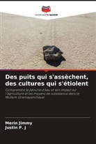 Merin Jimmy, Justin P. J - Des puits qui s'assèchent, des cultures qui s'étiolent