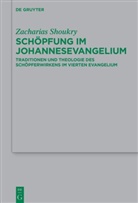 Zacharias Shoukry - Schöpfung im Johannesevangelium