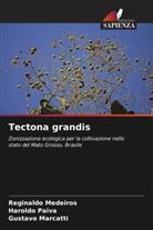 Gustavo Marcatti, Reginaldo Medeiros, Haroldo Paiva - Tectona grandis